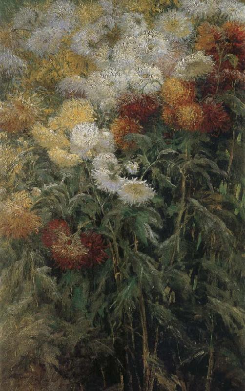 Gustave Caillebotte The chrysanthemum in the garden